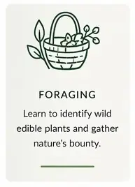 Foraging