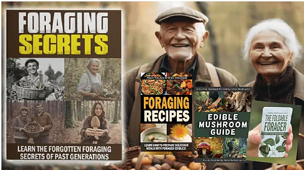 Foraging Secrets Product
