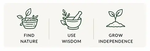 Survival Gardening Systems for Self-Sufficient Living